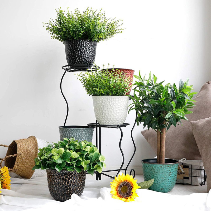 Ensemble de jardinières rondes en plastique de 8 pouces pour plantes d'intérieur Worth Garden