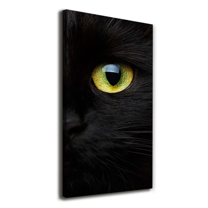 Cat's Eyes - Wrapped Canvas Print