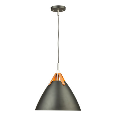 1 - Light Black Single Pendant
