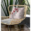 Coussin à motif floral avec housse amovible-99305900-99305893