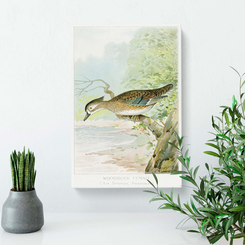 Female Wood Duck by J.L. Ridgway - Wrapped Canvas, 76cm H x 50cm W x 3cm D