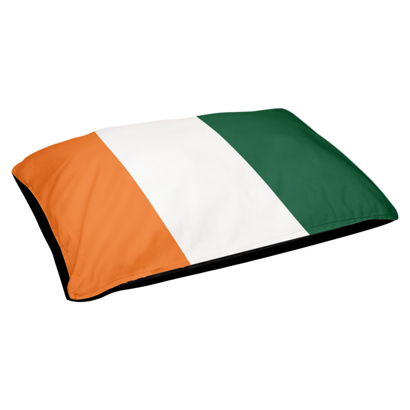 Coussin Miami, Très grand (l 50 po x P 40 po x H 7 po), Orange / blanc / vert