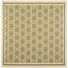 Vert/Beige