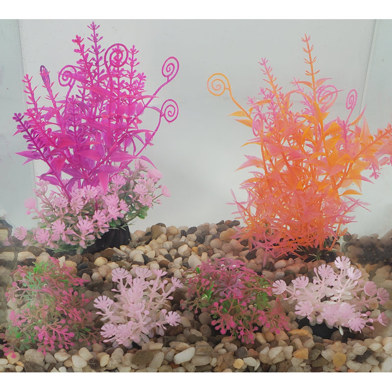  Aquarium Accessory