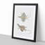 Dragon Lizard by John Edward Gray - Framed Print-55545483-55545484