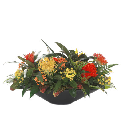 Arrangement de broméliacées en pot