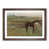 Walnut Framed selected