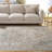 Hamilton Performance Oriental Indoor Rug-822630333