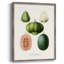 Reproduction encadrée de fruits et de légumes - bois massif-192918581