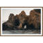 Shoreline Formation Print