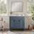 Skyelynn Bathroom Storage Cabinet with 2 Soft Closing Doors,36'' Bathroom Vanity with Top Sink Resin with Drawer,door,Bathroom Vanity-1720950062
