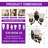 2 - Light Vintage Wall Sconce With Frosted Glass Shade (Bulbs Included)