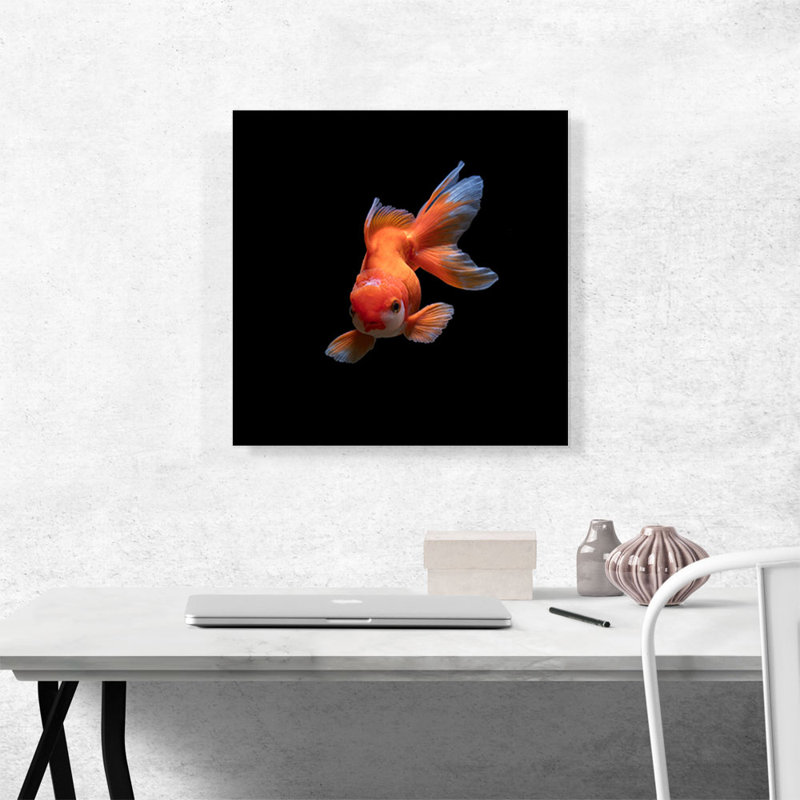 Gold Fish Home Decor - reproduction de photo sur toile tendue, H 18 po x l 18 po x P 0,75 po