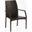 Chaises d'extérieur en osier, 54020 KD MP2, 2 chaises / ensemble