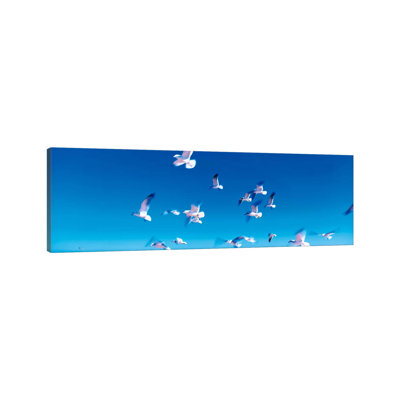 Birds In Flight Flagler Beach FL USA - Wrapped Canvas Panoramic Print