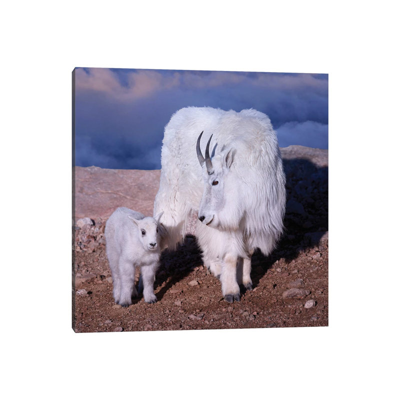 Above The Clouds 1 Piece Wrapped Canvas Wall Art, 45.72 cm H x 45.72 cm W x 3.175 cm D