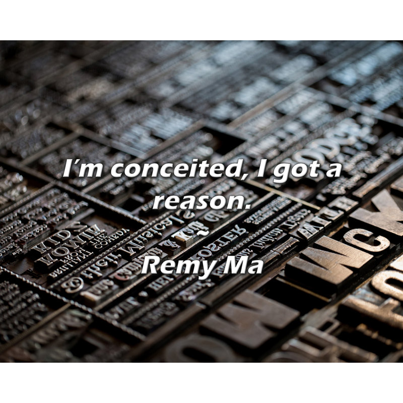 Citation artistique «Je suis vaniteux, j'ai une raison». Toile tendue par Remy Ma, H 28 po x l 40 po