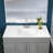 Camilla II Vanity Top with Single Sink and Backsplash