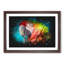 Rainbow Macaw Parrot - Picture Frame Graphic Art-56875952-56875953