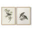 Vintage Animal II - estampe numérique encadrée - ensemble de 2-229241469-229241465