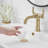 2-handle Bathroom Faucet with Drain Assembly-105190011