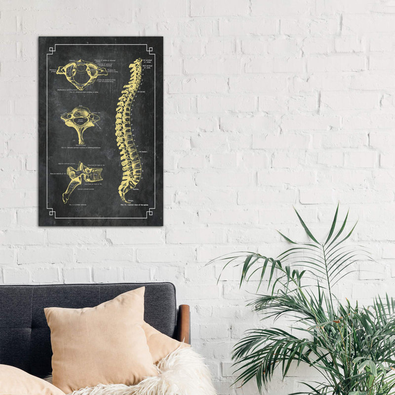 Bones Of The Spine by ChartSmartDecor - Print on Canvas, No Frame, 152.5 cm H x 101.5 cm W x 3.175 cm D