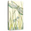 Libellules Gossamer II-1196506882