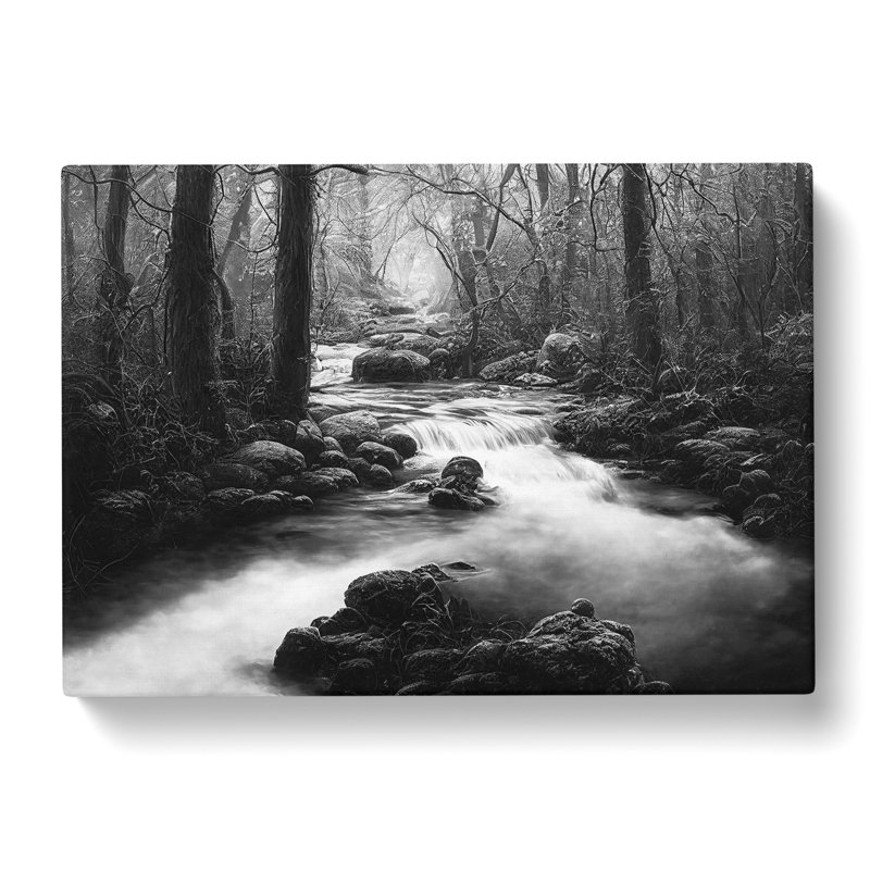 Monochrome Forest Stream - Wrapped Canvas, 35cm H x 50cm W x 3cm D