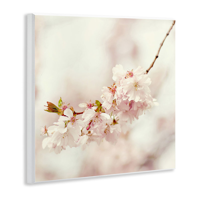 «Delicate Cherry Blossom», art mural sur bois par Sarah Gardner