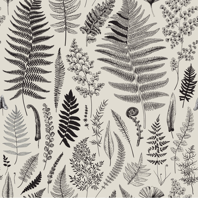 Atwill Matte Wall Mural, 200cm W x 100cm L