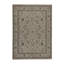 Oriental Area Rug