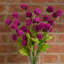 Artificial Arrangement-106401564