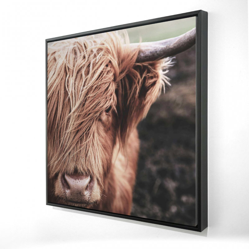 «Desatured Highland Cow» sur toile