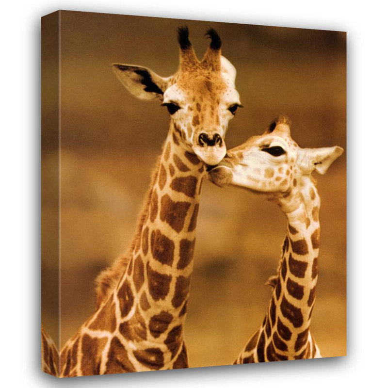 Giraffe First Love, 24" H x 19" W