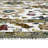 Tricity Traditional Ivory Hand-Hooked Area Rug-88784704