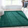 Papastamelos Basics Emerson Plain Textured Green Shag Area Rug