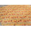 Tapis floral transitionnel 8 pi 4 po x 10 po x 10 po