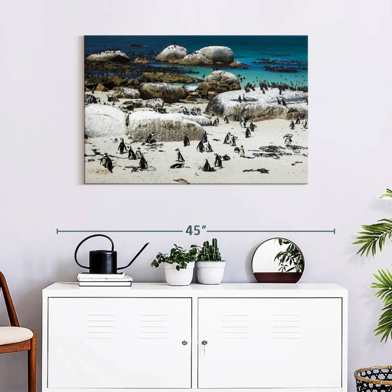 Pingouins de Brampt Boulders Beach, H 24 po x l 36 po