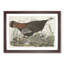 Great American Hen by John Audubon - Picture Frame Painting Print-55575244-55575245