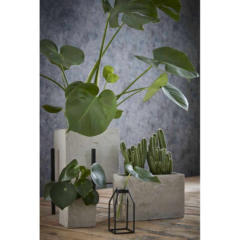 Bridgette Planter Box, 16.5 cm H x 17 cm W x 17 cm D