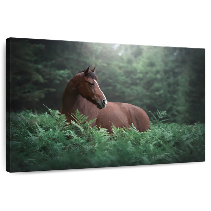 Cheval de campagne Brampt, H 16 po x l 24 po