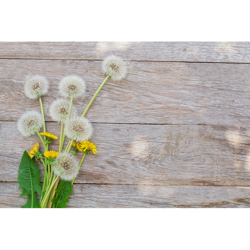 Dandelion Flowers on Wood par Karandaev - Photographie sur toile tendue, H 8 po x l 12 po