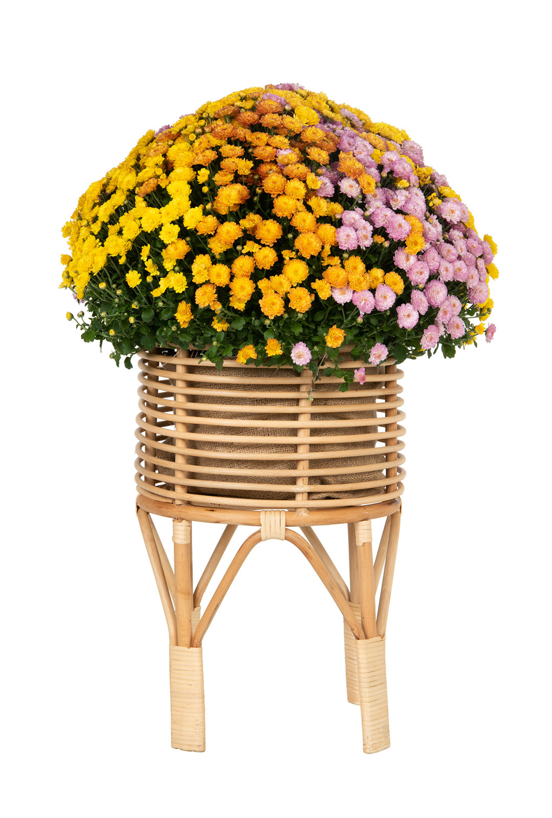 Andres Plant Stand, 18" H x 12" L x 12" D