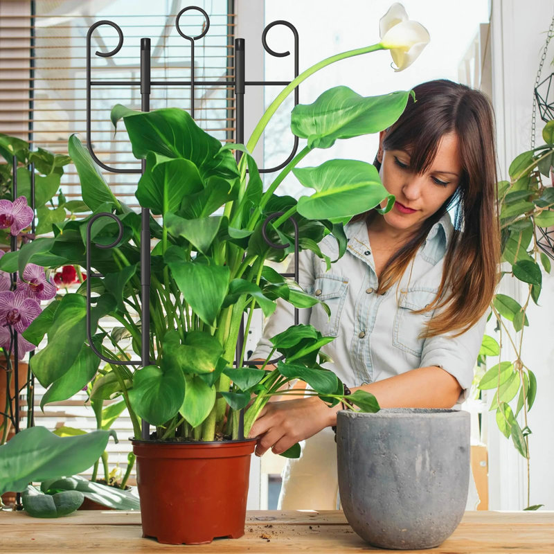 Lot de 4 treillis pour plantes grimpantes d'intérieur, treillis métallique extensible et robuste pour plantes en pot d'extérieur, fleurs, vigne, lierre, 43 cm (H)