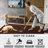 Lacreta Indoor / Outdoor Rug-320229869
