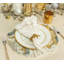 Cosmos Placemat-33813832