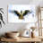 Brampt Hawk Flying-109381231