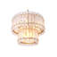 Blason 10 - Light Chandelier