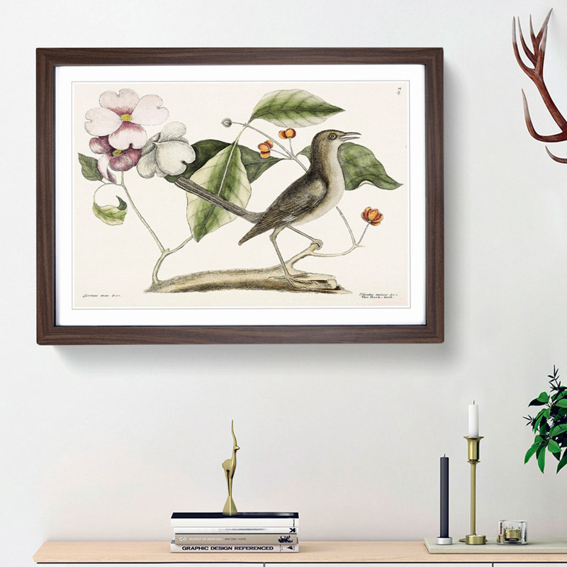 Mockingbird by Mark Catesby - Picture Frame Painting Print, Walnut Framed, 48cm H x 65cm W x 2cm D
