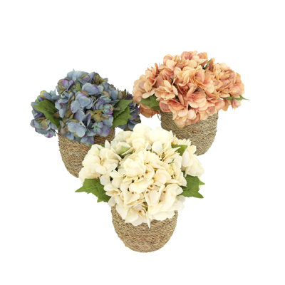Arrangements floraux d'hortensias d'automne Carytown